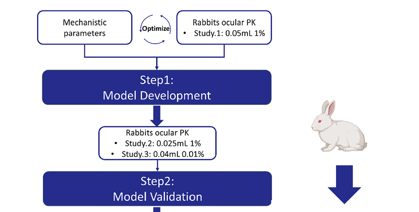 文章推薦 | 基于生理藥動學(xué)模型預(yù)測阿托品局部給藥的眼部暴露